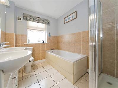 Picture 20